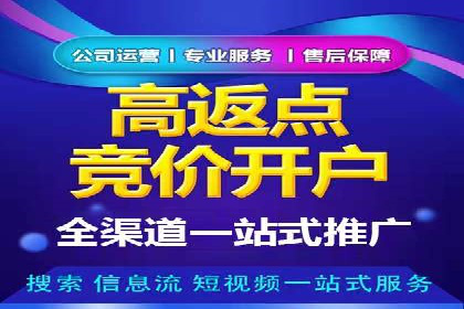 某知名企业竞价推广策略全解析